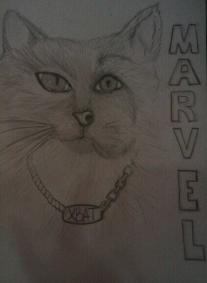 Файл:Marvel (Хват).jpg