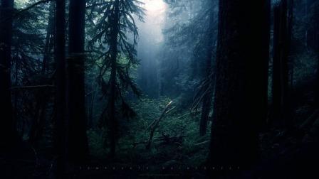 Тайные тропы к лагерю Братства вольных стрелков