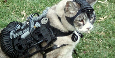 Питомец основателя гильдии