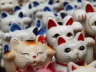 НЯ! (лого).jpg