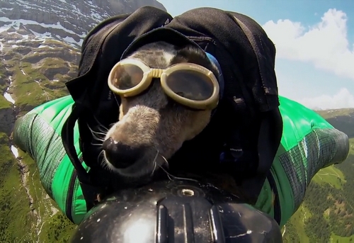 Файл:Преждевременная эвакуация.jpg