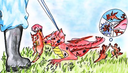 Карликовый Дракон