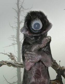 Кондратий Хватающий.png