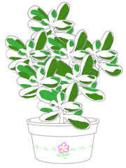 Денежное дерево by Аджериеру.jpg