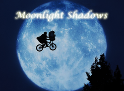 Moonlight Shadows (лого).png