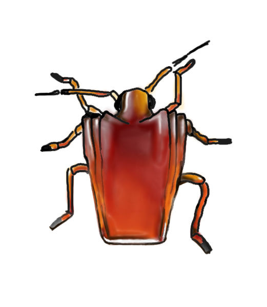 Файл:Коньячный Клоп by Ой-ой-ой.jpg