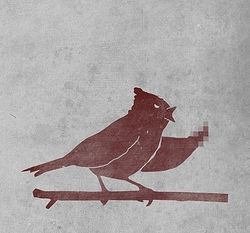 Пташка в Гильдийском замке показывает всем неприятелям, что ... ну, просто показывает