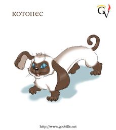 котопёс