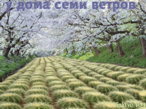 У дома семи ветров.png