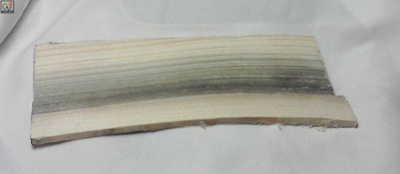 Файл:Гофер от Шмя.jpg