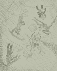 Кольцекотль (У•В•О)