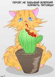 Лата (У•В•О)