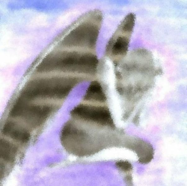 Файл:Huka Cmukc.jpeg