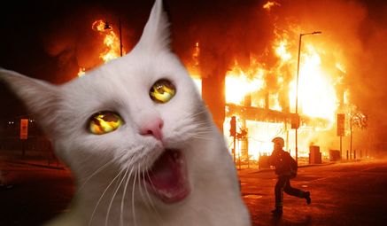 БК Снежа в состоянии «Ярость берсерка» атакует конкурентов