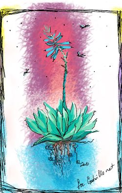 Алоэ веры by Красавица.jpg