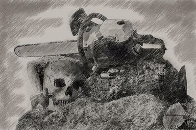 Saloon Jolly Logger. Череп.jpeg