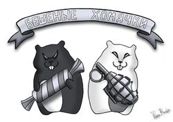 Бешеные хомячки эмблема клана.jpg