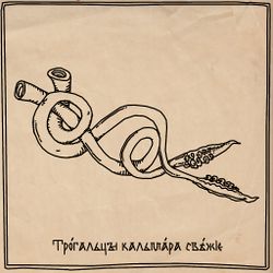 Трогальцы кальмара by Анн.jpg