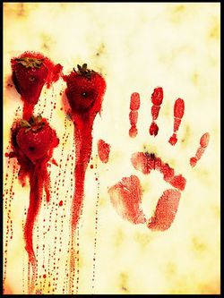 Strawberry Fields.jpg