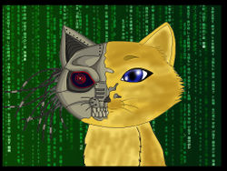 Робокот by Ray Kamikaze.jpg