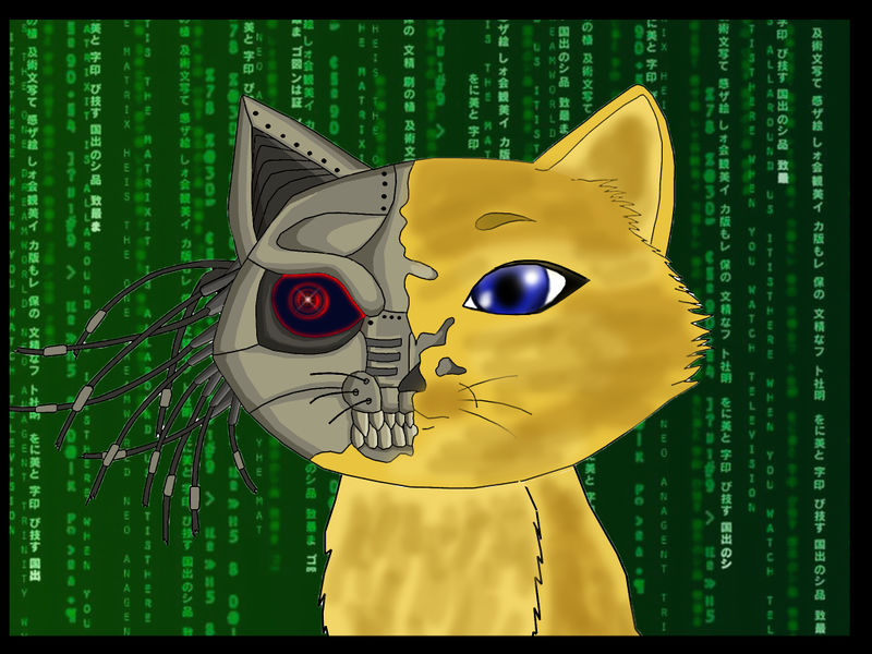 Файл:Робокот by Ray Kamikaze.jpg