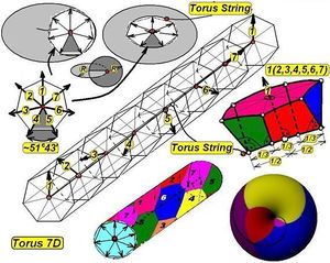 Схема тороидальной свёртки гиперпространства 7-го порядка в рюмке-непроливайке.