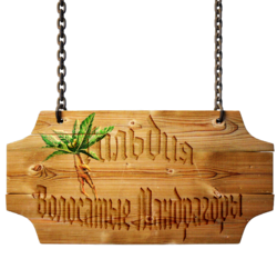 Волосатые Мандрагоры.png