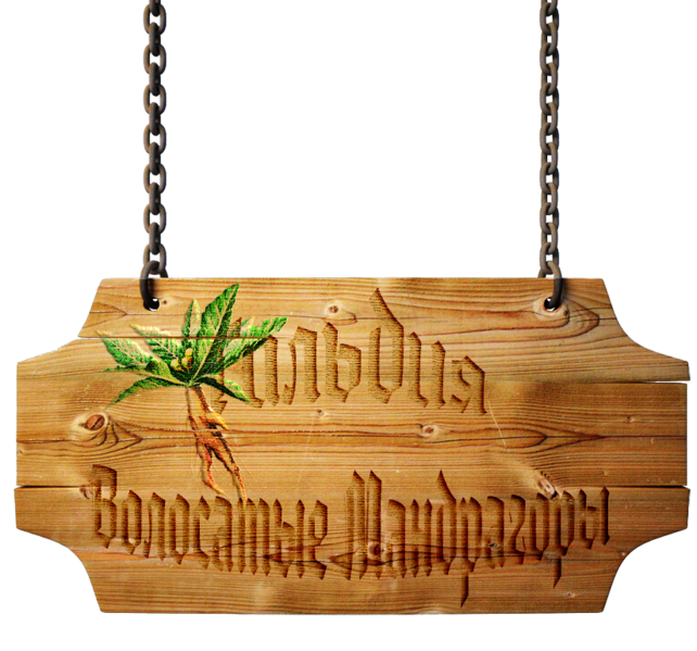 Файл:Волосатые Мандрагоры.png