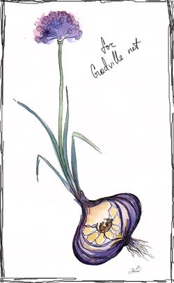 Свирепчатый лук by Красавица.jpg