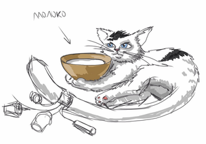 "Правильный" кот по мнению гильдии  Андромеда-