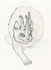 Крупный Рогатый Кот by Аджериеру.jpg